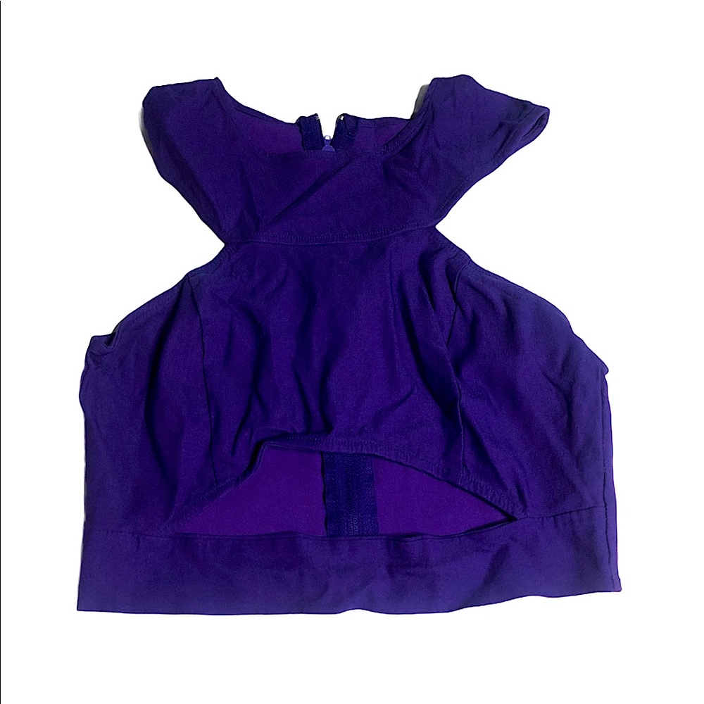 Purple Crop Top